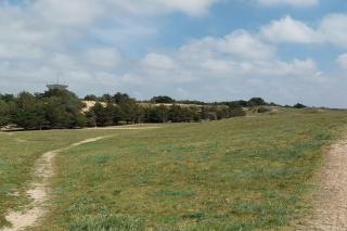 studio FACE MER 85270 Saint Hilaire de Riez - 1