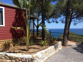 Holiday home in Calella de la Costa 3641 - Calella - 4
