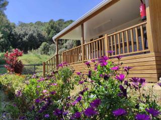 Holiday home in Calella de la Costa 3641 - Calella - 2
