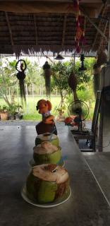 IKWAI Camping - Ban Hom Kret (2) - 8