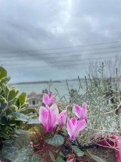 The Sardinian Guesthouse (6 Bedrooms) - Cobh - 3