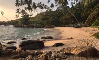 Bungalow 16 - Tropical Retreat - Tangalle - 7