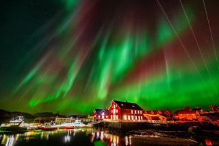 Ure Lodge, Leknes, Lofoten - 4