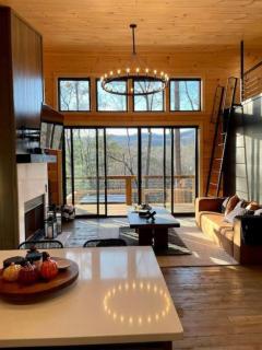 New Modern Treehaus with Views, Hot tub. 2-2 and loft - 7