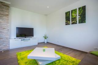 Three bedroom apartment Milohanic IV - 4