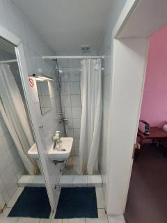 VV ART, unique Vila in Ljubljana city center - 2