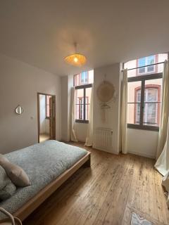 Le beau Malcousinat proche place Nationale - Montauban - 9