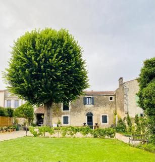 The Old Stables - Saint-Jean-dʼAngély - 9