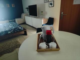 Suite 2 lits Auberge du Manala Hôtel 24 24 proche Basel - 2