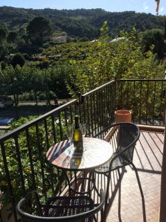 Apartment Olive & Kin, Collioure - 8