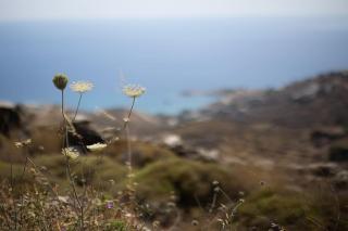 Kea 360 VILLAS- Dionysos Den - Korissia - 2