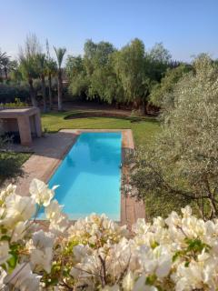Dar Victoire - Marrakesh - 0