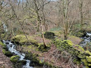 Panteinion Hall - Llanbedr - 8