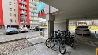 City Oasis Studio - 2