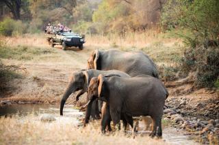 Karongwe River Lodge - Hoedspruit - 0