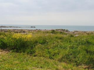 Le relais du phare - Gatteville-le-Phare - 3