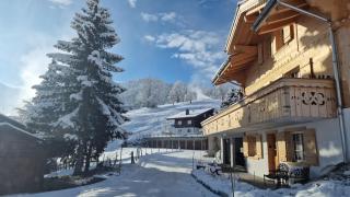 Large deluxe studio for 2 - Chalet Lovo - Lenk - 9