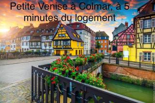 Studio lumineux, à 2 minutes de Colmar - 4