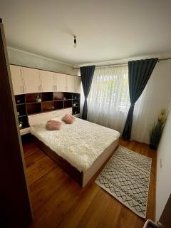 Diana 7 - Cluj-Napoca - 7
