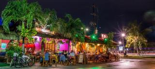 Kimera en la zona más exclusiva de Tulum - Tulum - 5