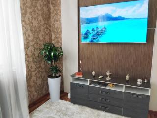 Уютные апартаменты в центре - Tashkent - 8