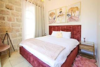 Luxury Apartment - Jerusalem - 1