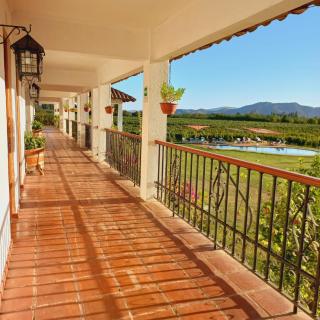 Hotel Terraviña - Santa Cruz - 4