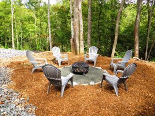 Secluded Luxury Mountain Retreat House - Fletcher - 4
