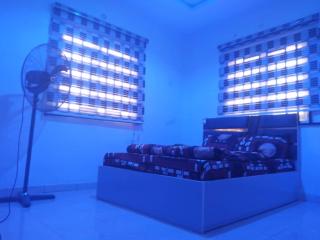 2-Bedroom Tradebybata Apartments around FUNAAB Abeokuta - 4