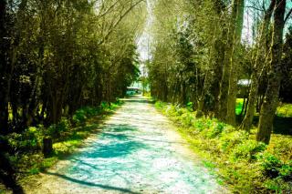 Mae Joa Turismo - Cabañas & Camping Familiar - 6