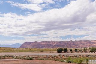 Desert Dreaming - Ivins - 5