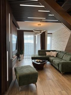 BOROVI PREMIUM wellness&spa - Divčibare - 8