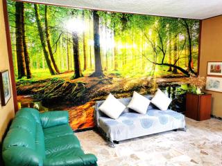 Lago Maggiore Green House - Leggiuno - 0