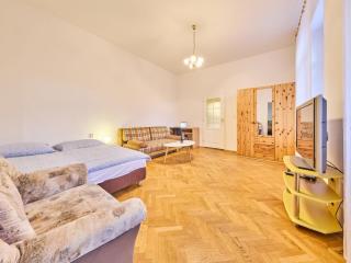Apartment Villa Belvedere-10 by Interhome - Janske Lazne - 7