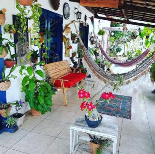 Bosque do Paraíso - 0