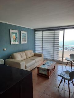 Depto equipado frente al mar. Hemosa vista - Concón - 7