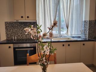 Avla Apartment - Karpathos - 6