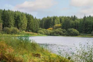 7 Atlantic Crescent Lodge - 2 Bed-Sleeps 4-TJS7AC - 1