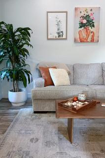 Serene Modern Family Getaway Near Midtown Downtown and Folsom Lake - 1