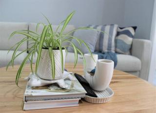 Coastal Vibes 3 Bedrooms house - Minmi - 2