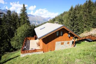Chalet Camomille - Confortable chalet dans un quartier calme avec une vue imprenable sur la vallée et le Mont Blanc MAE-0967 - Peisey-Nancroix - 0