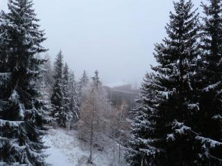 Résidence Archeboc - Appartement 2 pièces / 5 personnes à Arc 1800 proche des pistes dans le village de Charmettoger MAE-1733 - 3