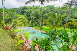 Pesona Bali Ecolodge by AGATA - Jatiluwih - 8