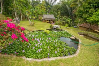 Pesona Bali Ecolodge by AGATA - Jatiluwih - 2