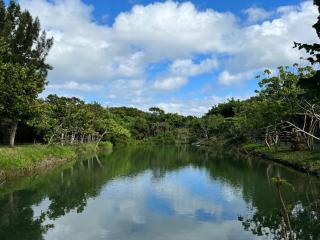 Toptai Kenting BY REINDEER - 5