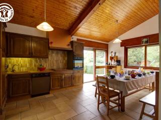 Villa d'architecte 200m² avec piscine privative, terrain 2800m², proche Loire, idéale familles - FR-1-496-35 - Pommiers - 3