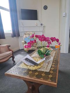 SUSAN'S SWEET HOME Hamilton CBD - 0