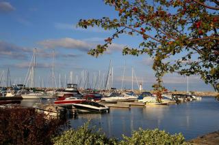 New and Cozy Cottage Minutes to Blue Mountain - Meaford - 4