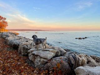 New and Cozy Cottage Minutes to Blue Mountain - Meaford - 2