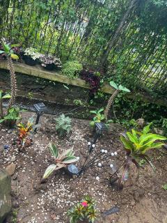 Puncak villa - Cikundul - 1